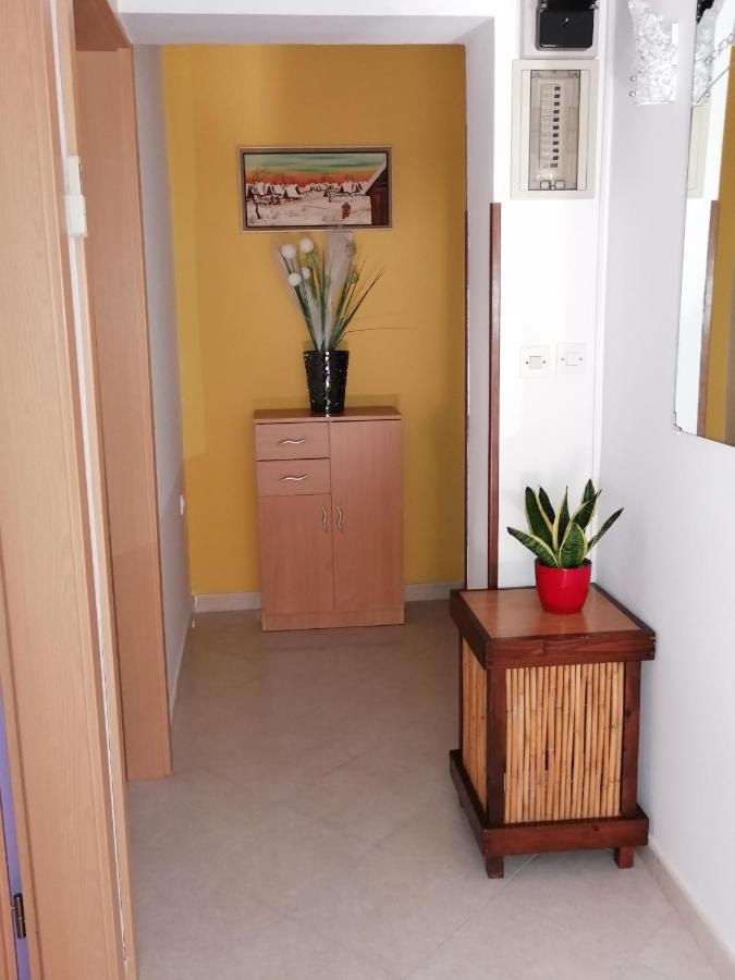 Apartman Bruna Novigrad Istria Exteriér fotografie
